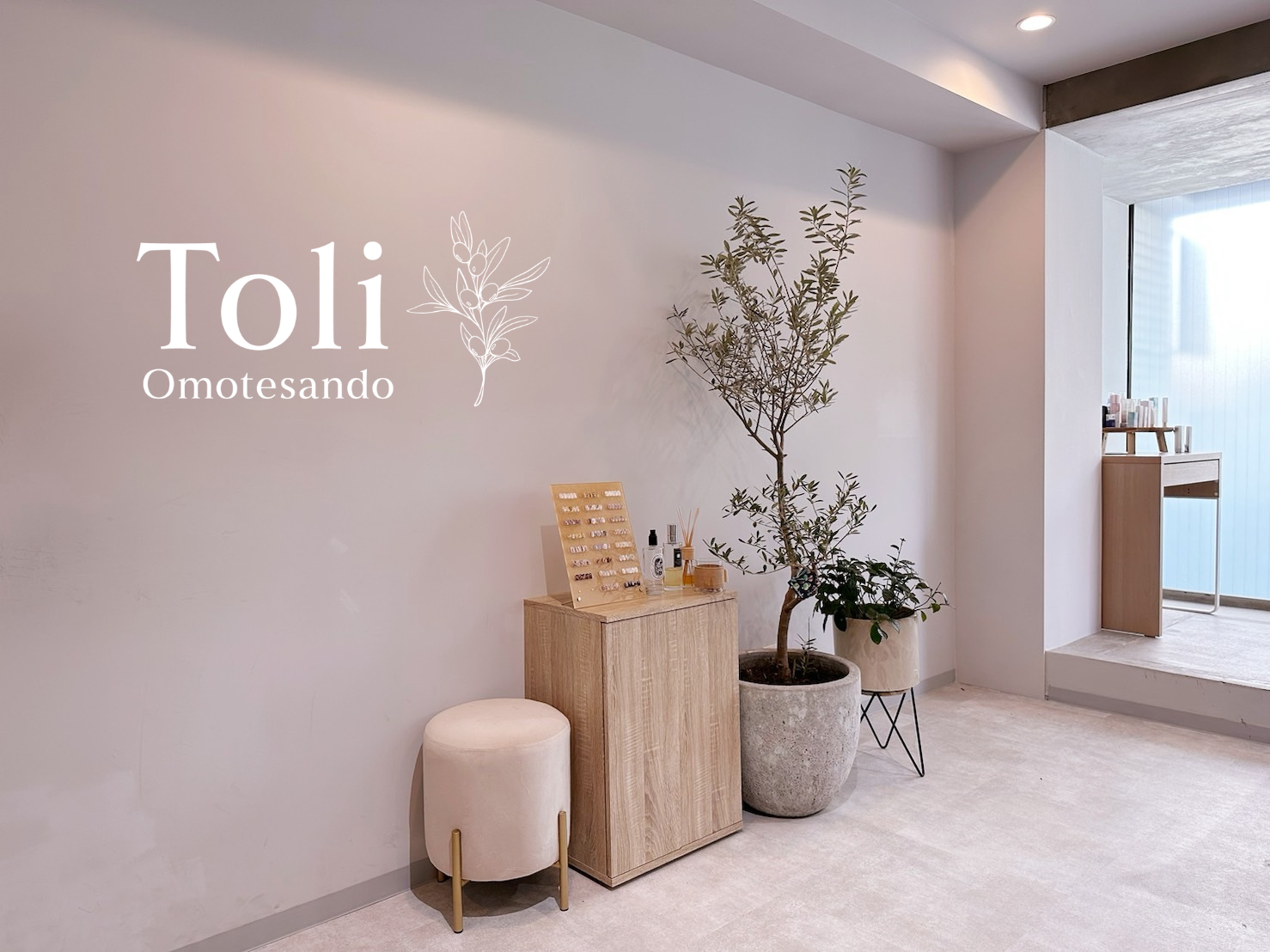 Toli Omotesando（トリ オモテサンドウ）店舗内装写真