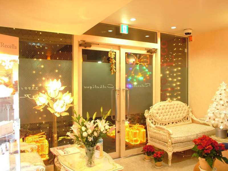 ピュアーレ・エコ　千葉鎌取駅前店店舗内装写真