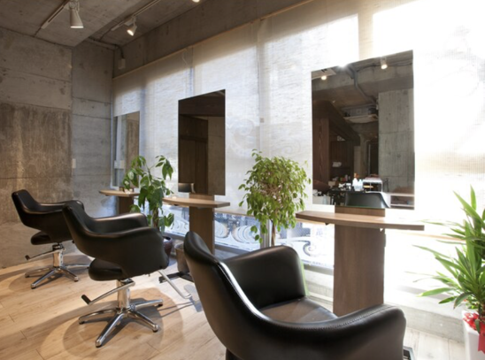  CIPOLLA（チッポラ）店舗内装写真