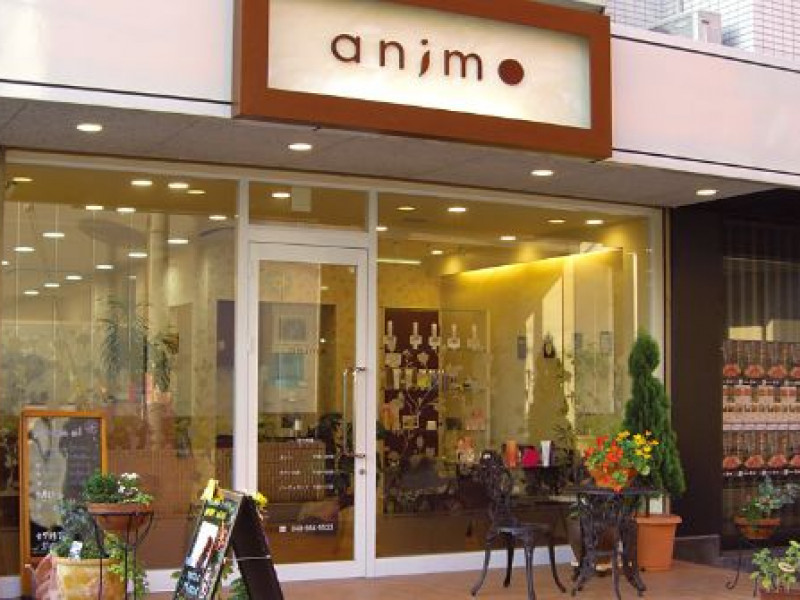 animo 吉川店（アニモ）店舗内装写真