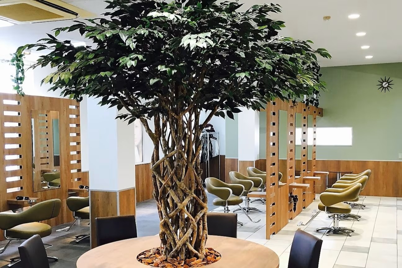 K's collection（ケーズコレクション）御所野店店舗内装写真